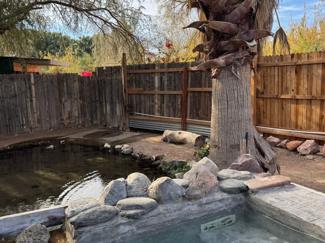 El Dorado Hot Springs-Tonopah必去景点