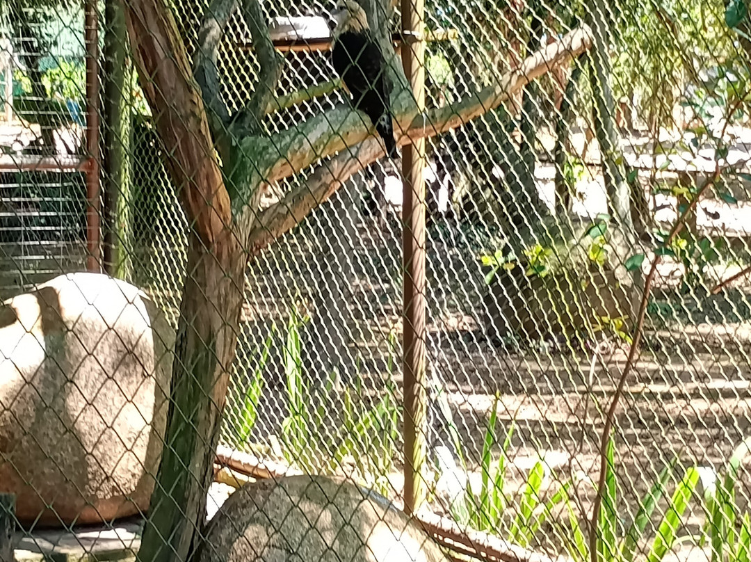 Mini Zoológico景点图片
