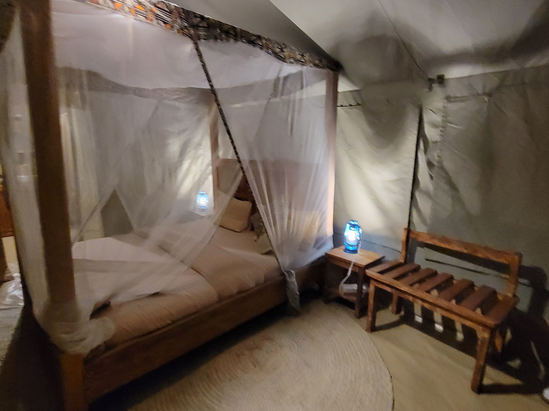 Africa Safari South Serengeti主图