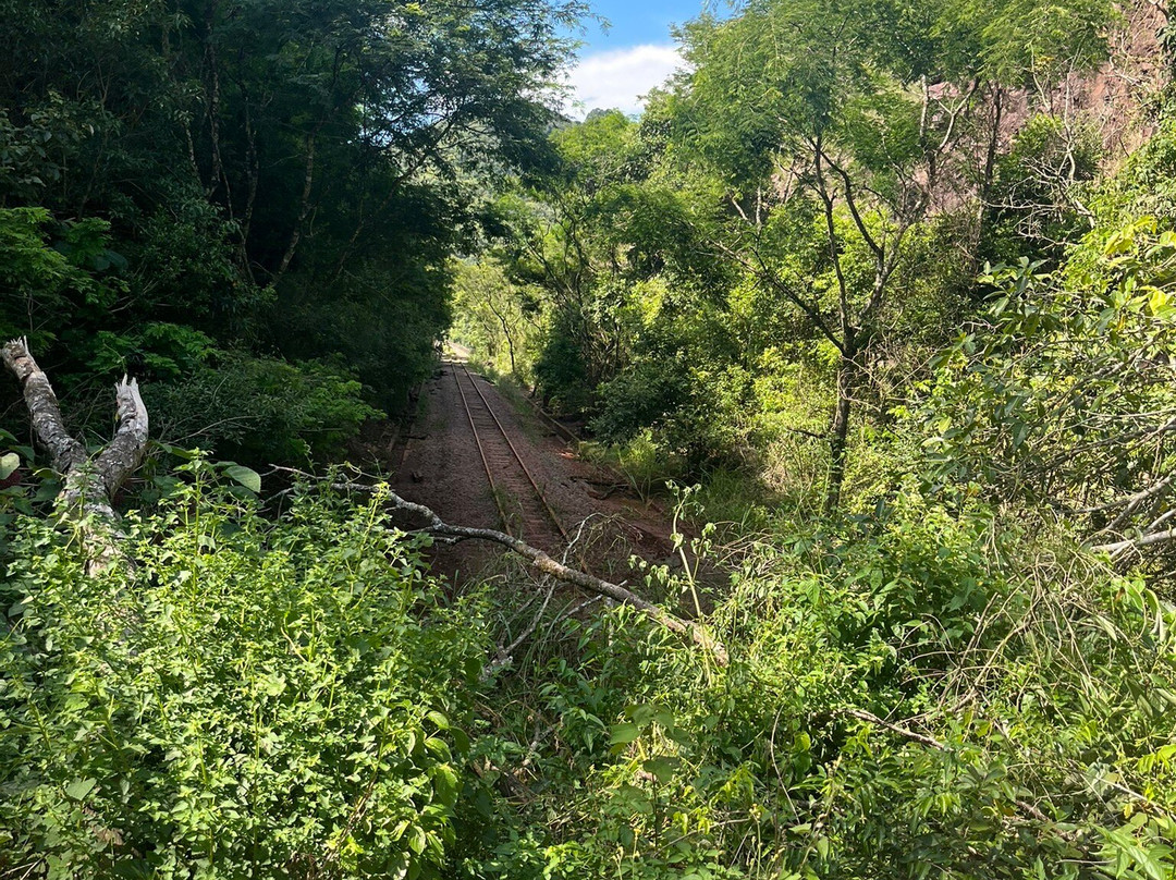 Viaduto 13-Vespasiano Correa必去景点