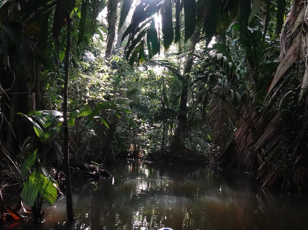 Costa Rica Roots Tours景点图片