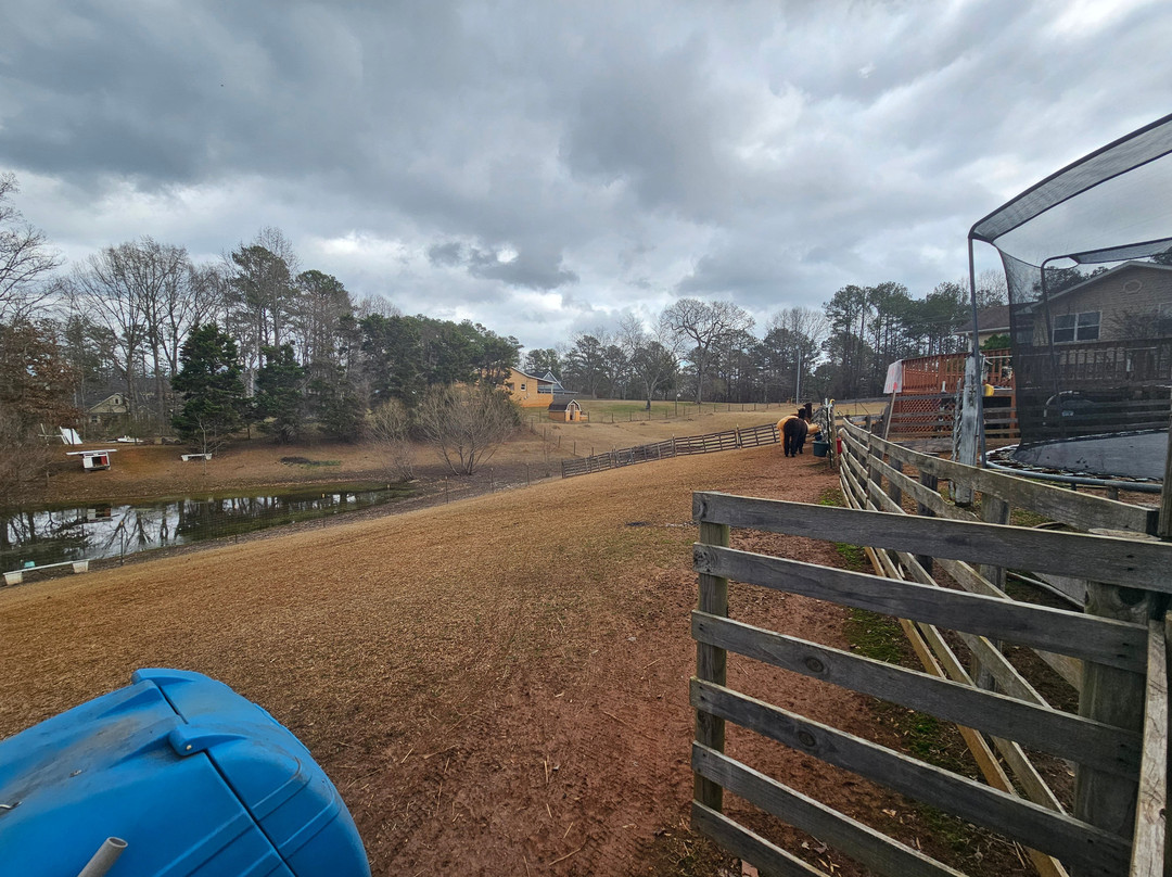 Buddy's Alpaca Farm-Douglasville必去景点