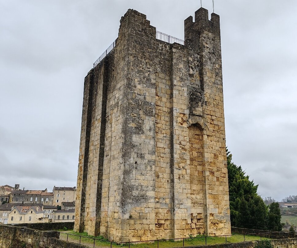 La Tour du Chateau du Roy景点图片