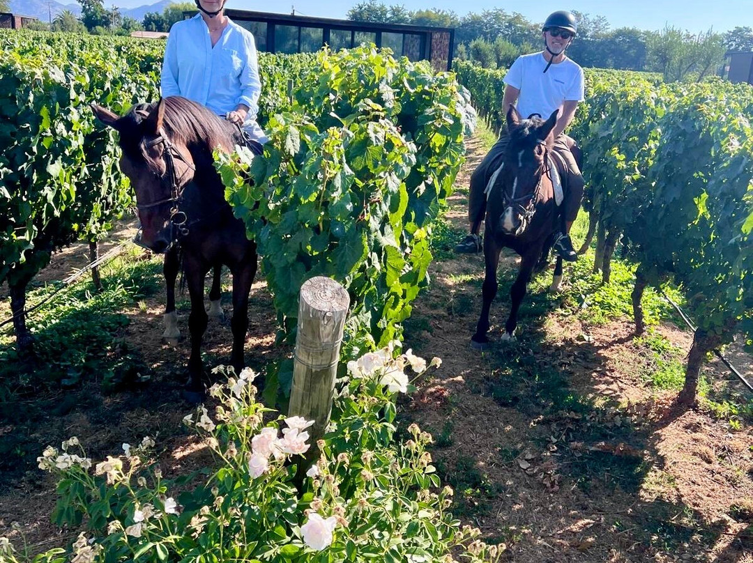 Cabalgatas Y Club Ecuestre Santa Cruz-圣克鲁斯必去景点