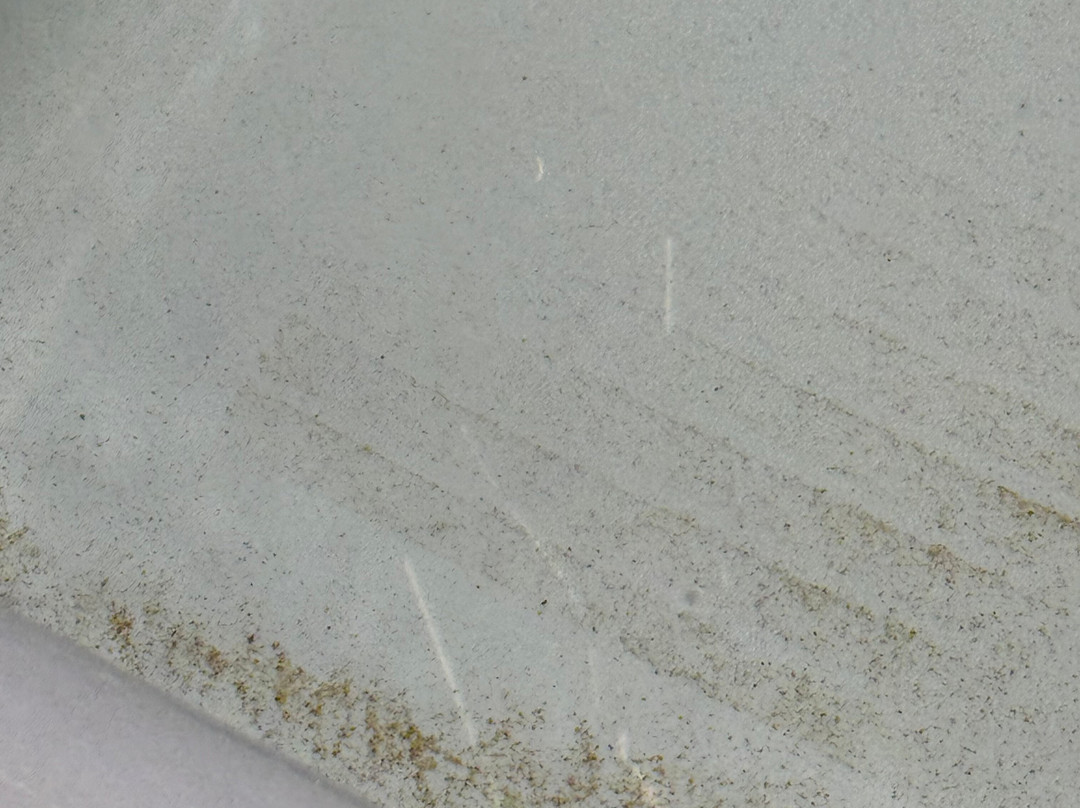 The LaSalle Hotel, Bryan College Station, a Tribute Portfolio Hotel主图