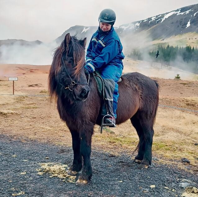 Eldhestar Volcano Horses景点图片