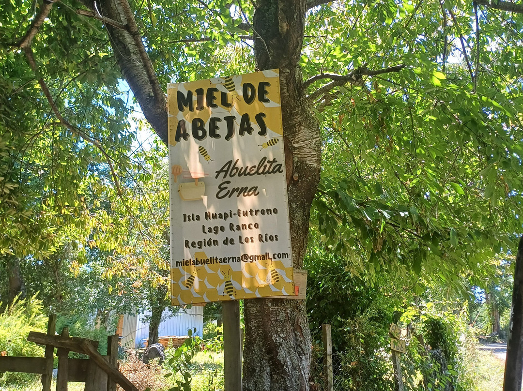 Isla Huapi-Futrono必去景点