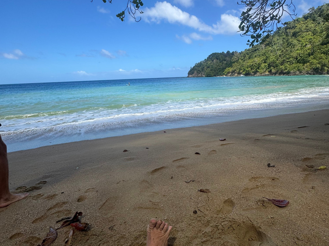 Englishman's Bay-多巴哥必去景点