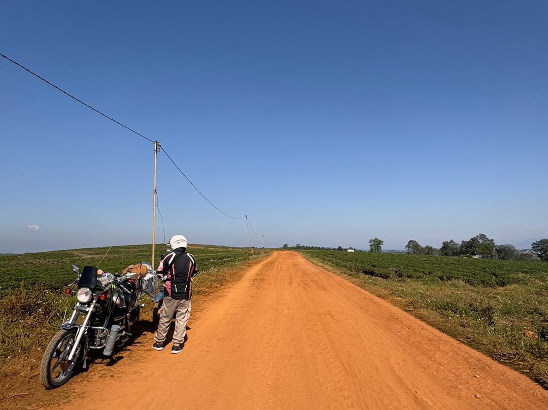 Mui Ne Easy Rider景点图片
