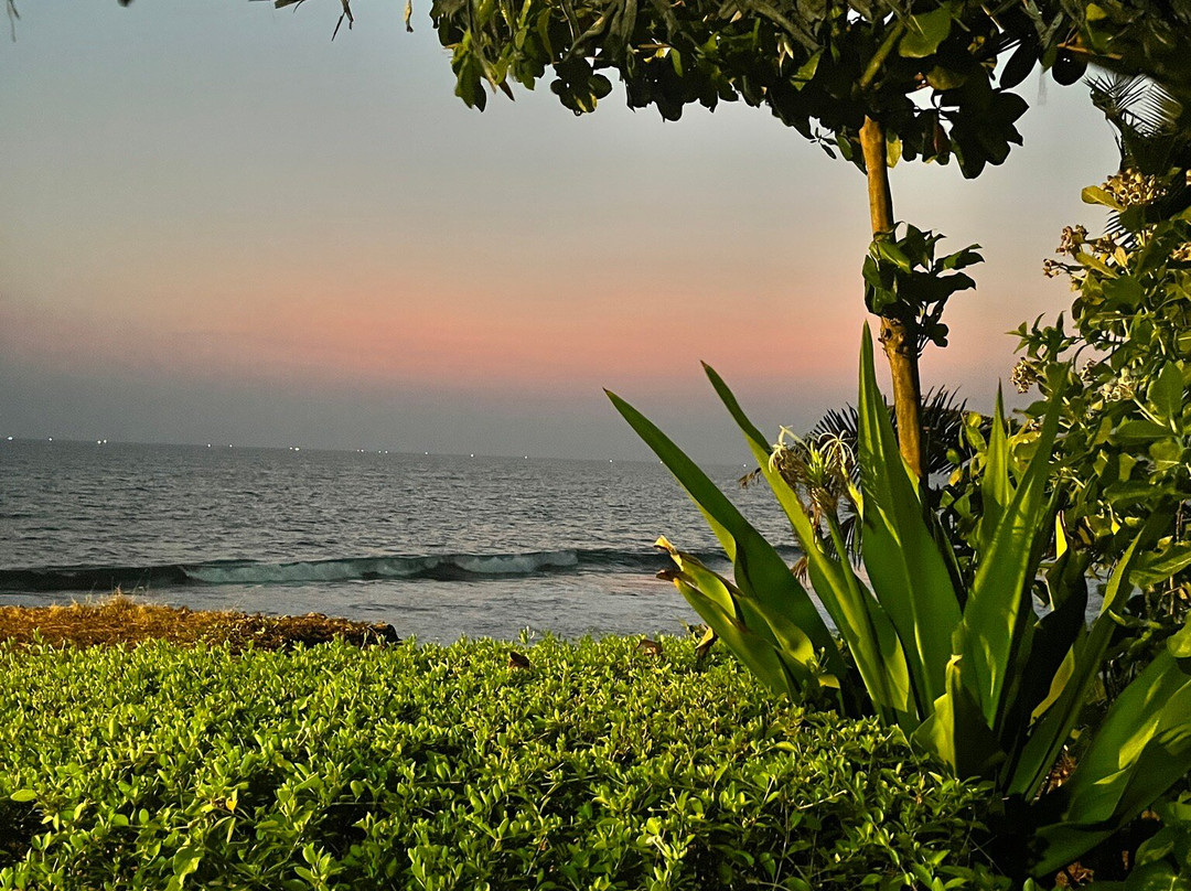 Sukriti Beach Resort主图