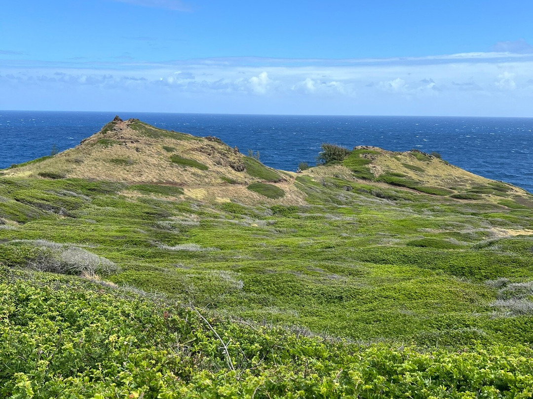 Ohai Loop Trail and Overlook景点图片