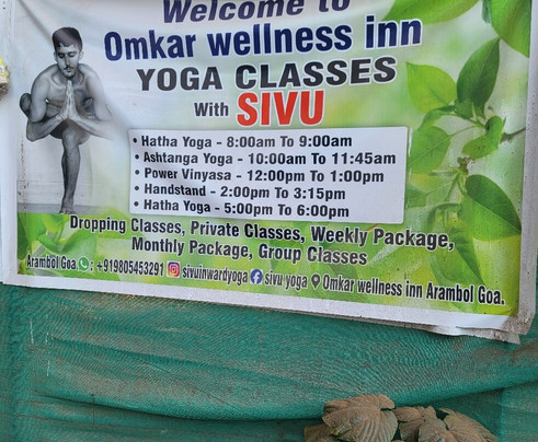 Viik Wellness Inn - 3 Star Resort In Arambol Beach, North Goa主图