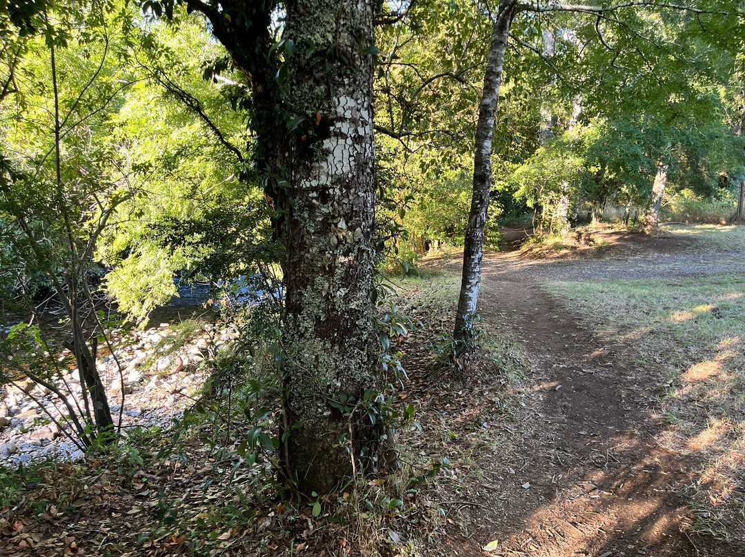 ELEMENTOS Eco Lodge主图