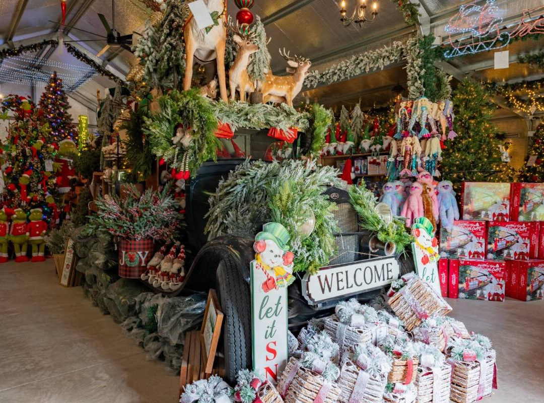 Granite Belt Christmas Farm景点图片