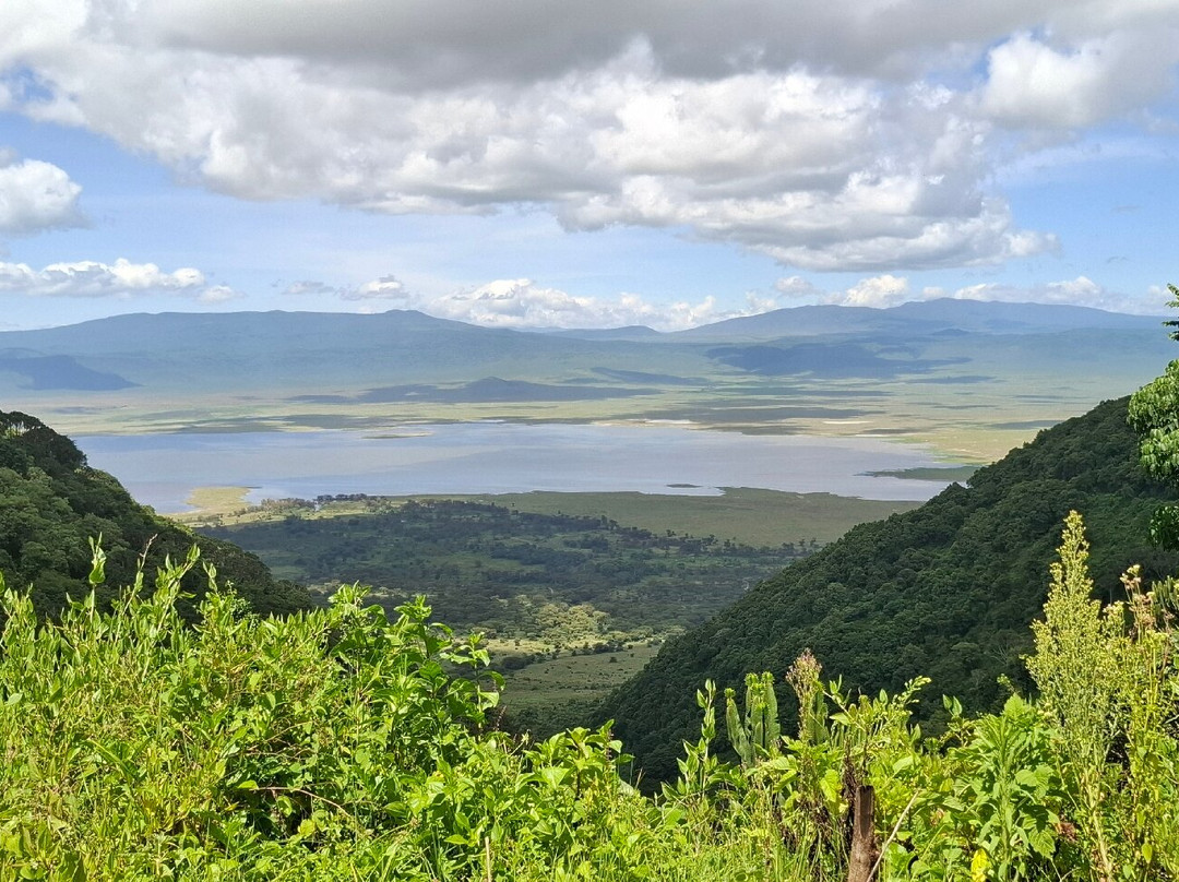 Momella African Adventure-阿鲁沙必去景点