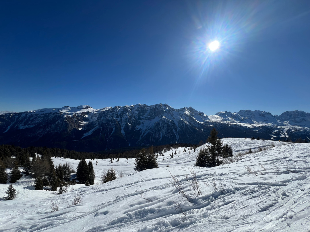 Scuola Italiana Sci e Snowboard Folgarida Dimaro景点图片