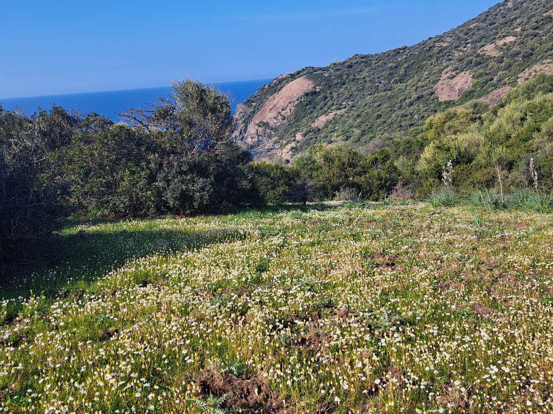 Jebel Sardinia-奥罗塞必去景点