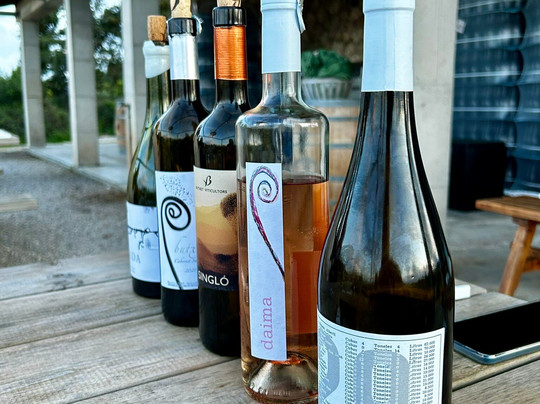 Mallorca Culinary Tours-Portocolom必去景点