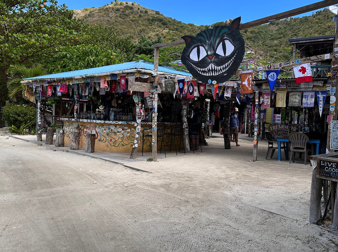 Ocean Surfari Charters-Red Hook必去景点