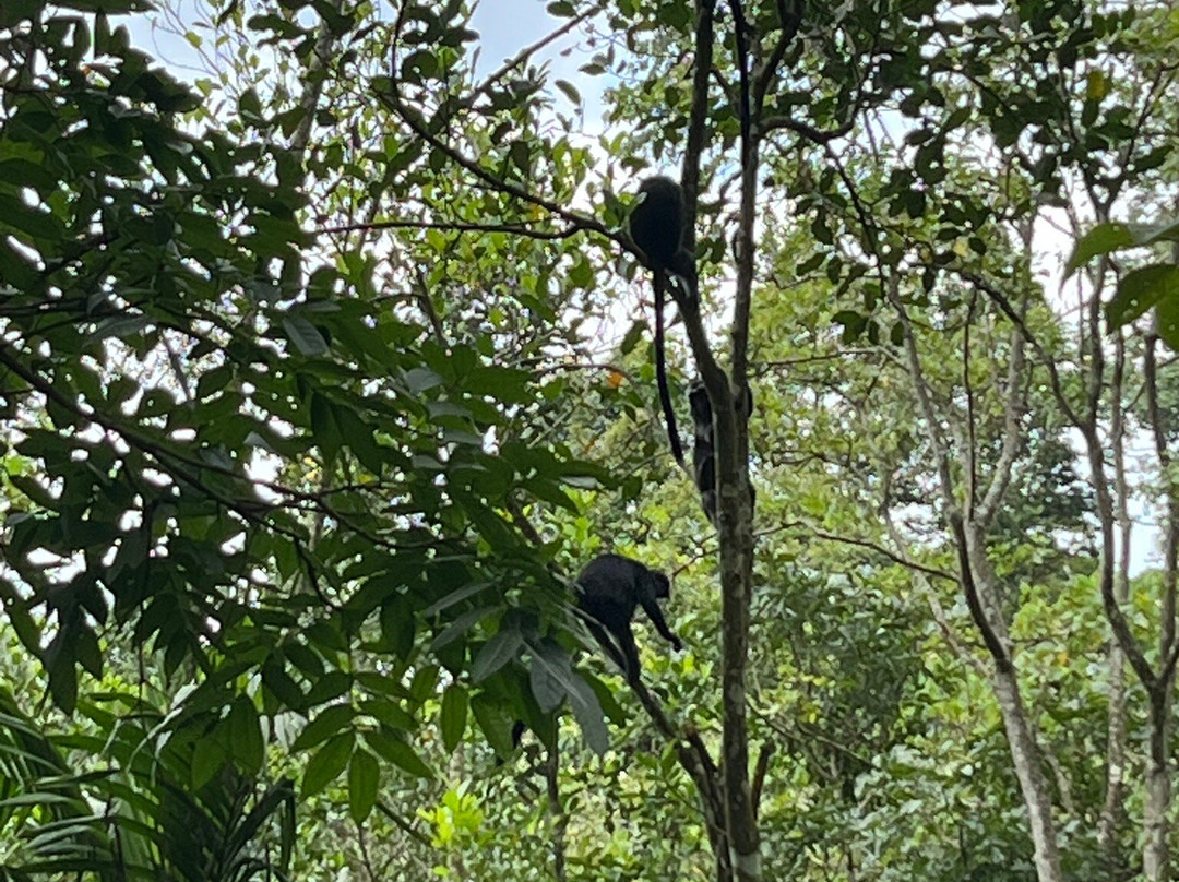 Edy Tour Guide-Tetebatu必去景点