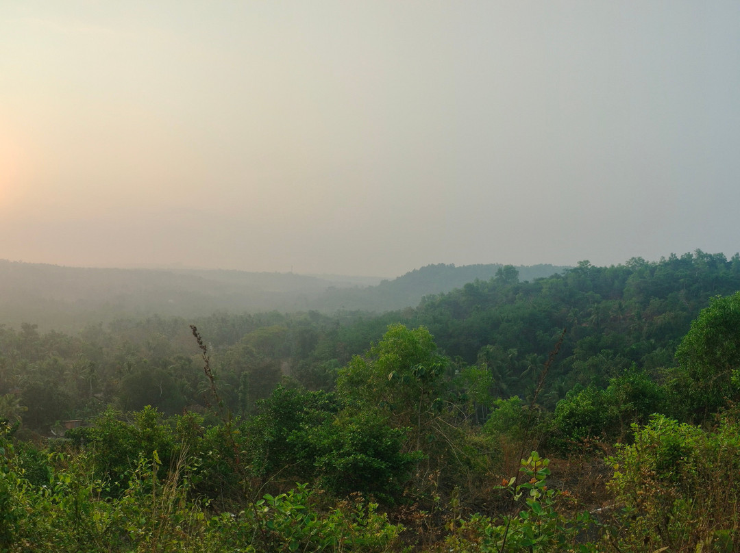 Vaidekam Resorts & Wellness主图