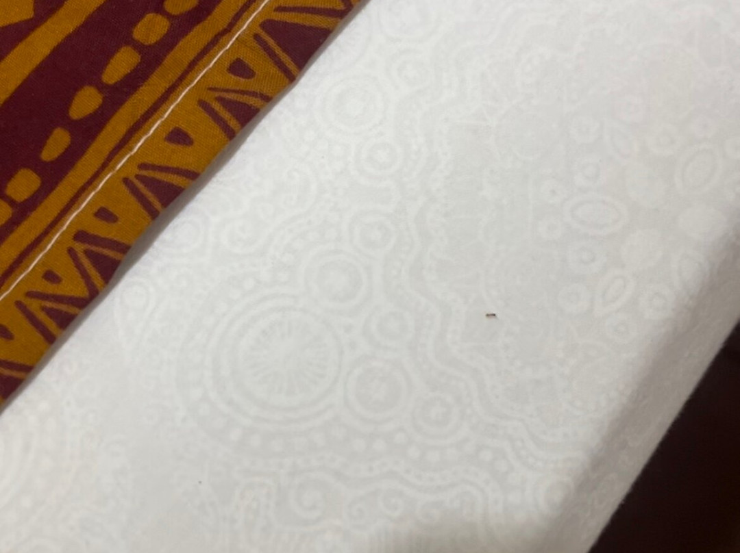 Gombela Ecolodge主图