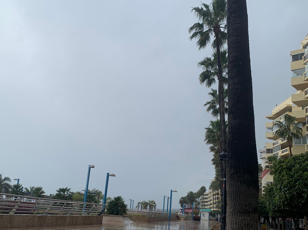 Paseo Maritimo景点图片