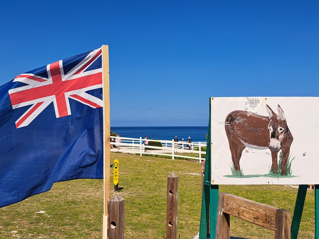 Island Trams Limited-Grand Turk必去景点