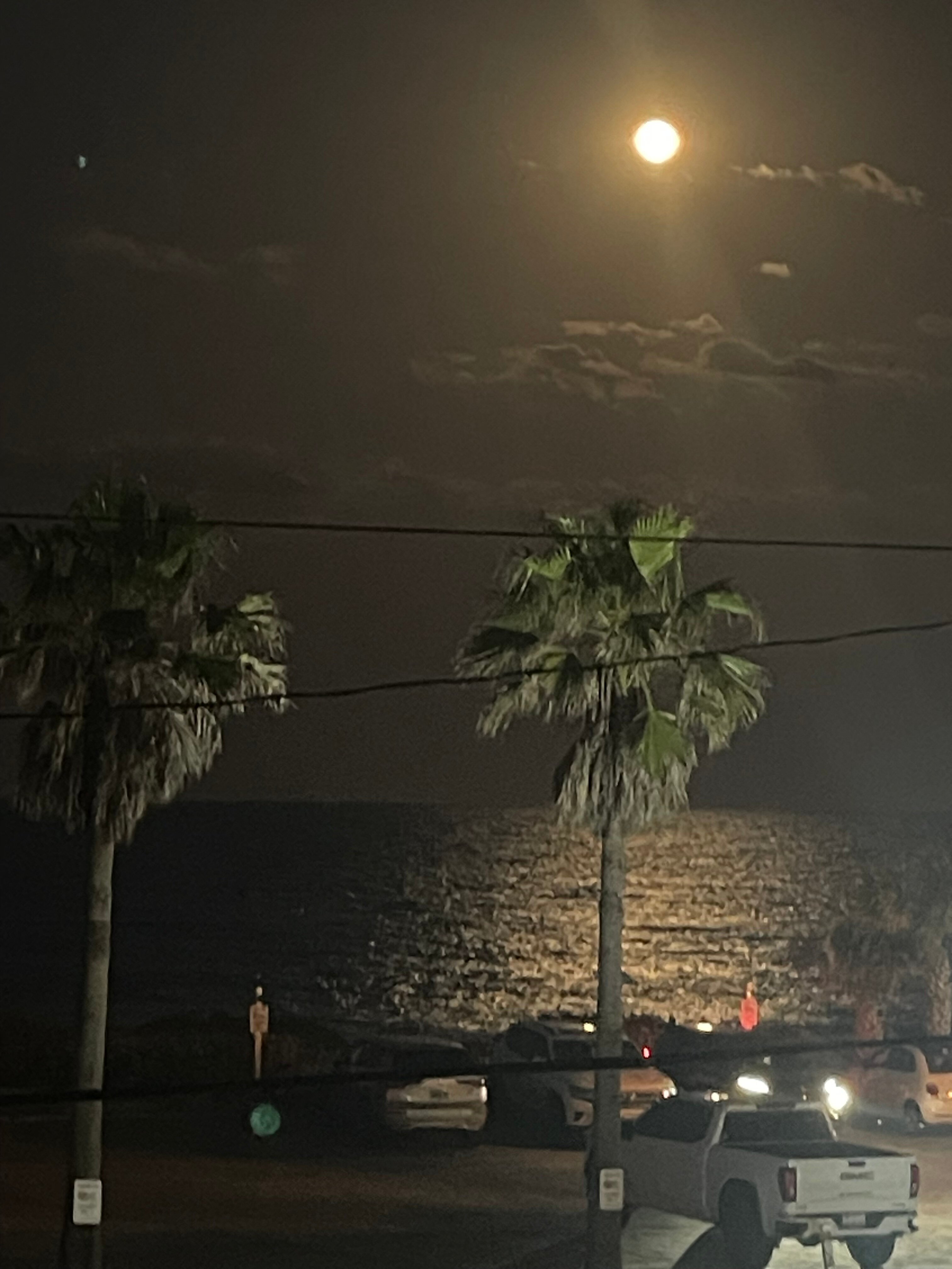 Port D'hiver Bed And Breakfast-酒店景观