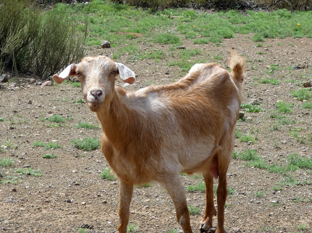 Berbere Atlas Experience-奥伊俄贞必去景点