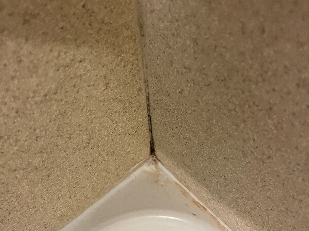 Hampton Inn & Suites Holly Springs主图