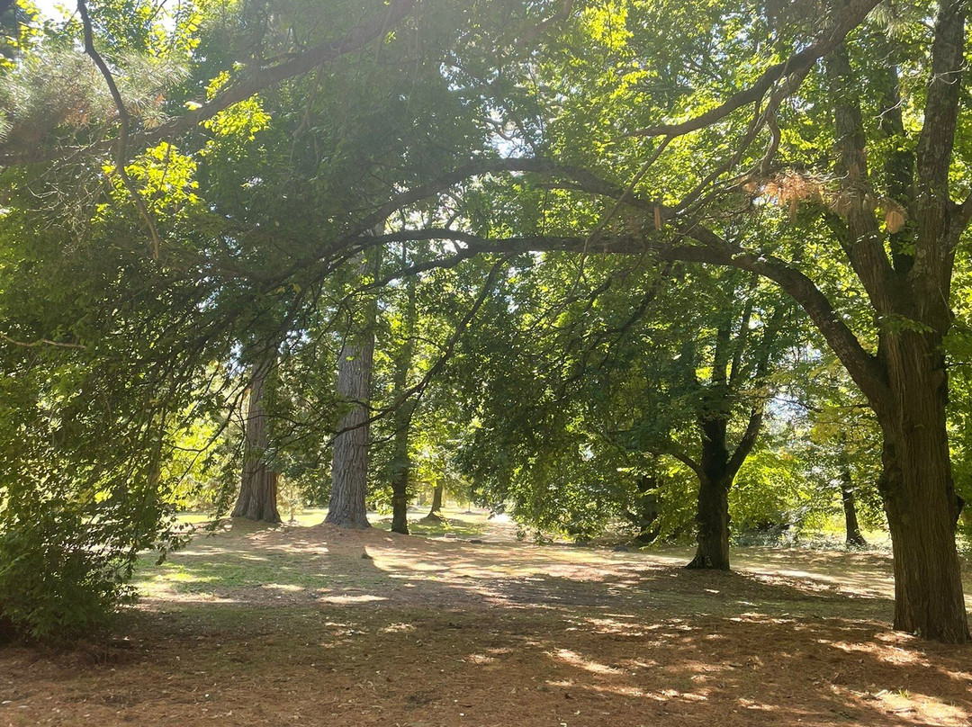 Malmsbury Botanic Gardens-Malmsbury必去景点