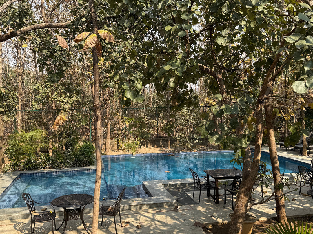 Tigress@ghosri - Tadoba主图