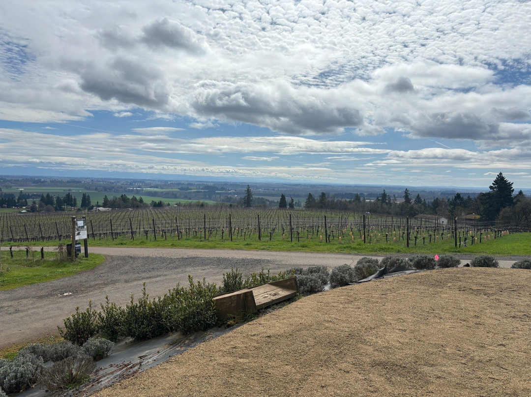 Durant Winery-Dundee必去景点