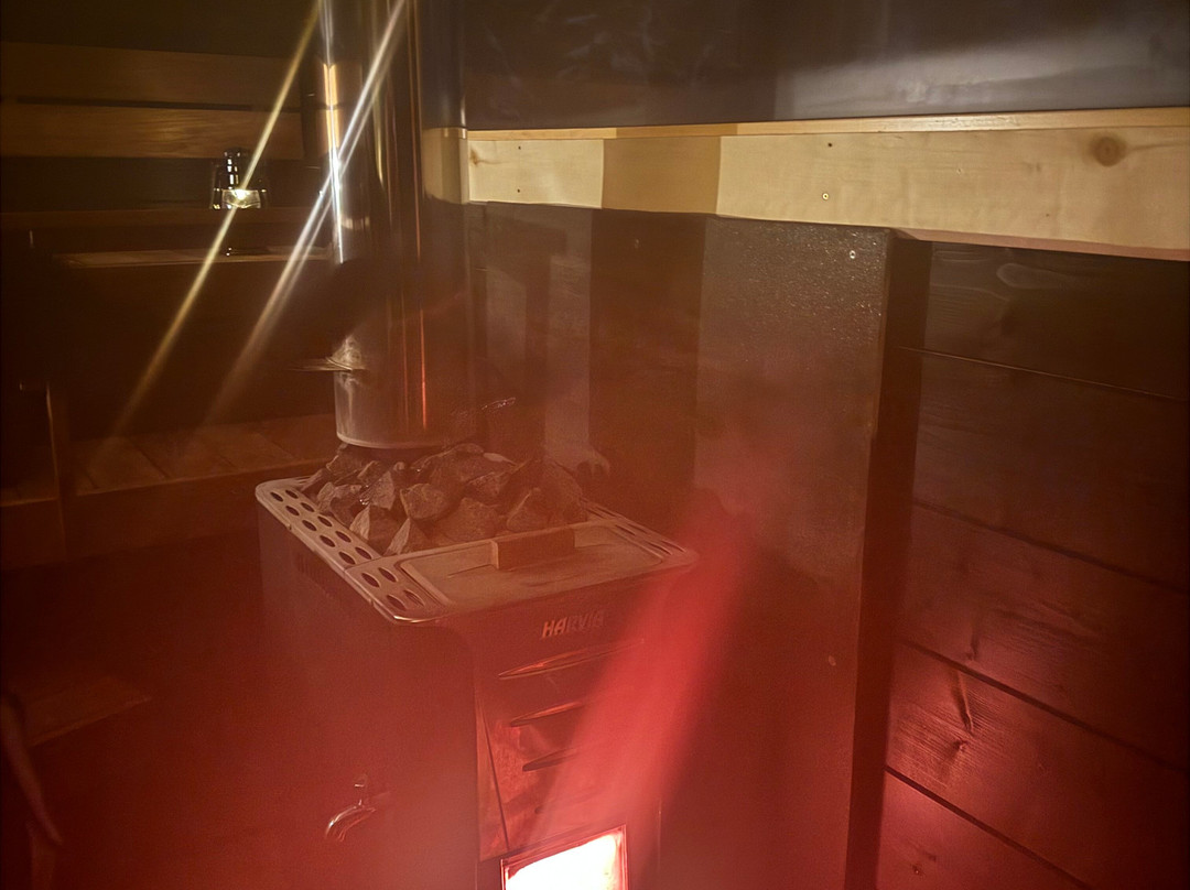 Wild Blueberry-罗瓦涅米必去景点