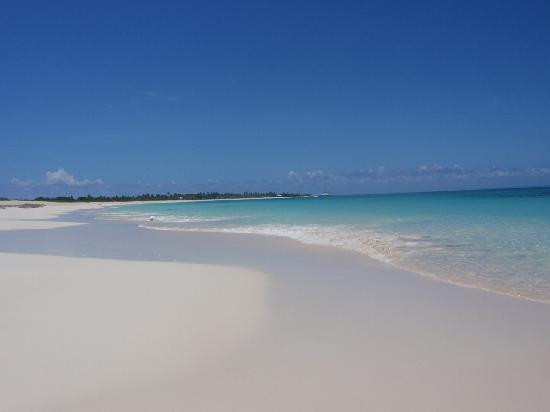 Palm Tree Guest House主图