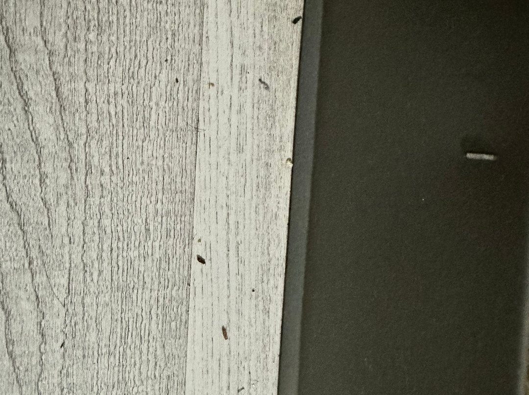 Microtel Inn & Suites by Wyndham Ardmore主图