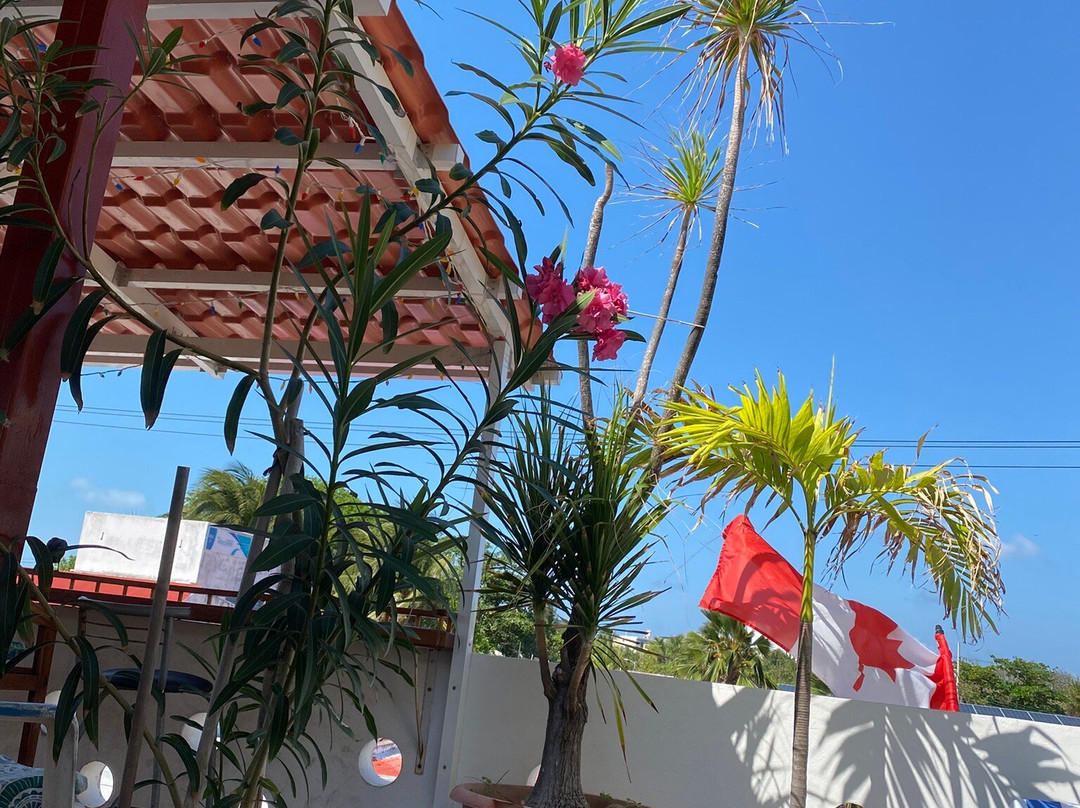 Hotel Las Palmas主图