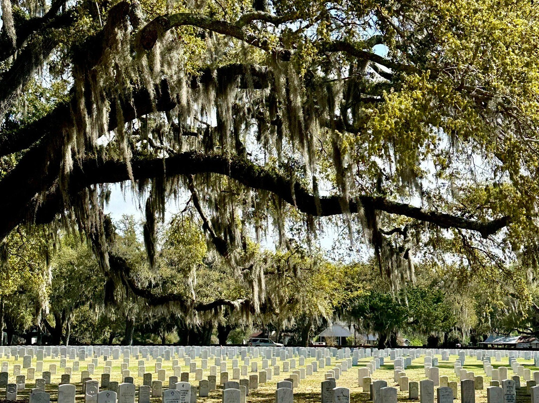 Beaufort National Cemetery景点图片