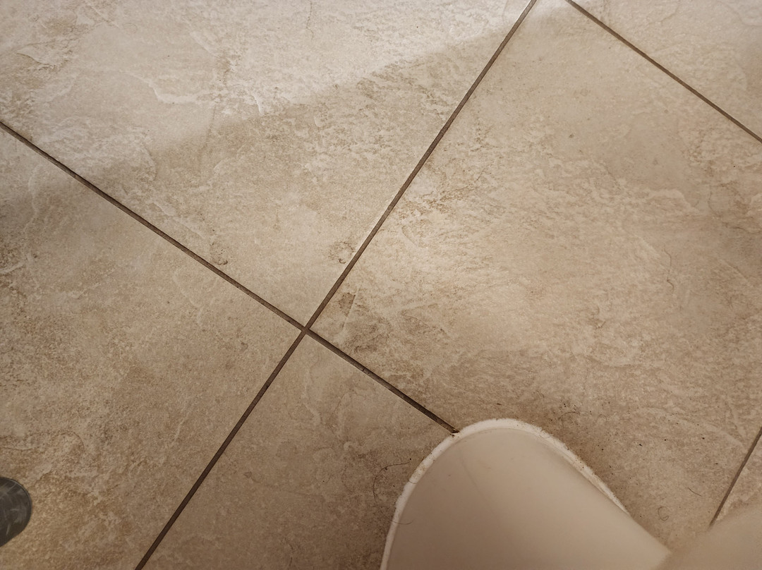 Drury Inn & Suites Hayti Caruthersville主图