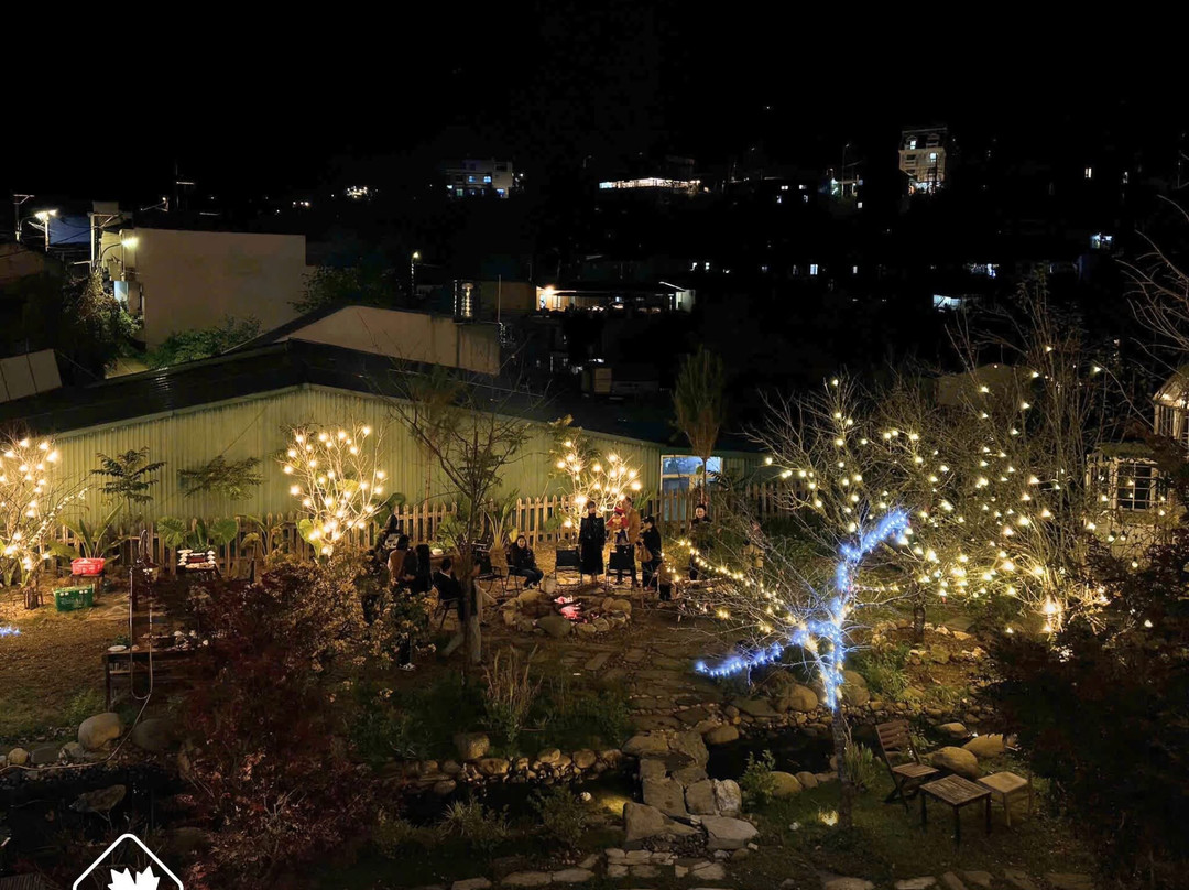 Sapa By Night