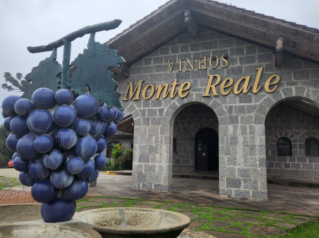 Vinicola Monte Reale景点图片