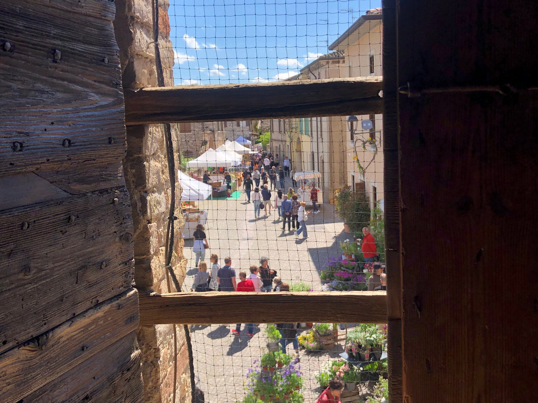 Il Borgo di Castellaro Lagusello-Castellaro Lagusello必去景点