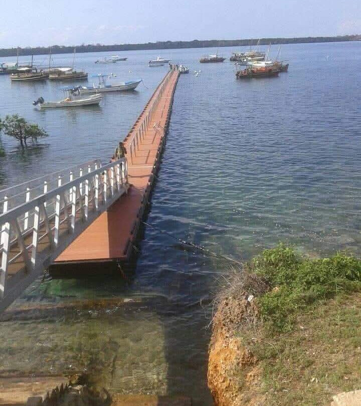 Kisite-Mpunguti Marine National Park and Reserve景点图片