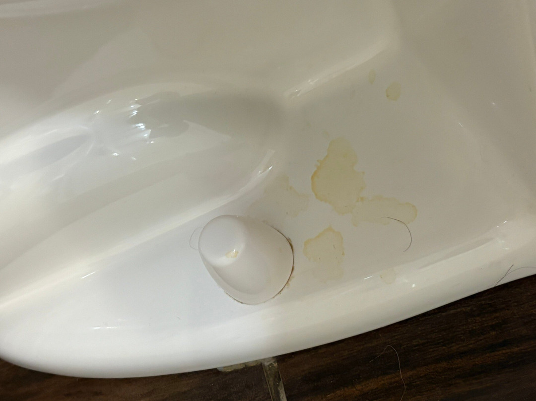 阿普尔顿假日酒店主图