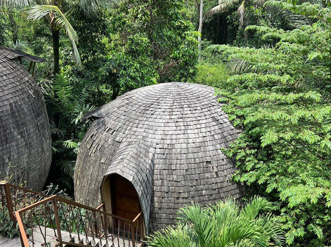 Mekar Jungle Spa Ubud Bali By K Club景点图片