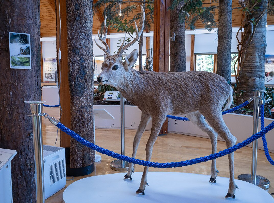 Higashi Taisetsu Nature Center-上士幌町必去景点