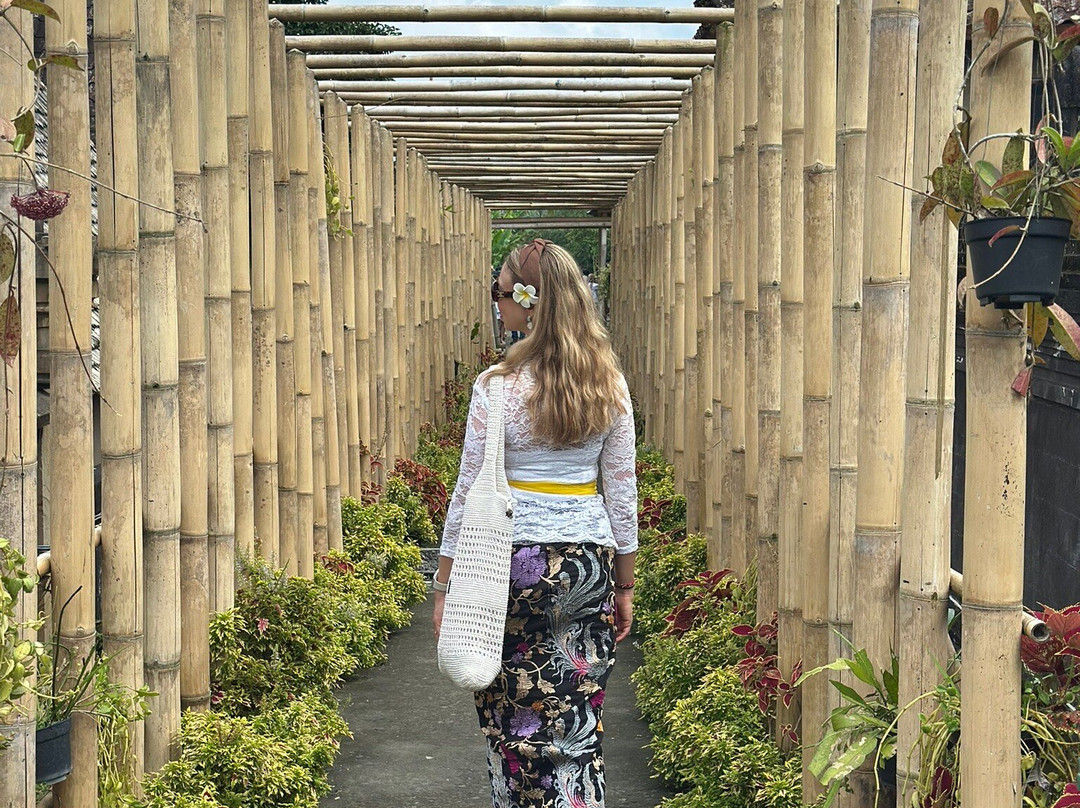 Bali Customized Tours景点图片