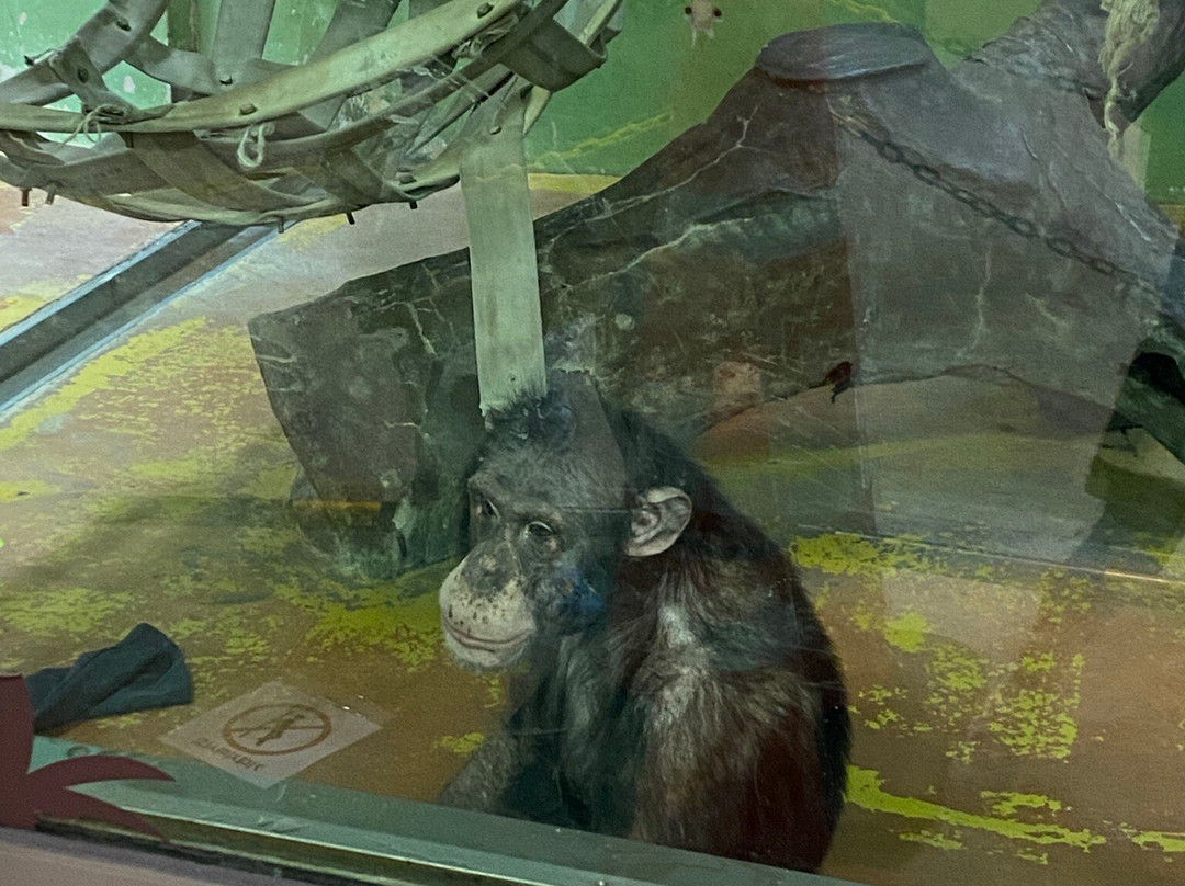 Seoul Grand Park-果川市必去景点