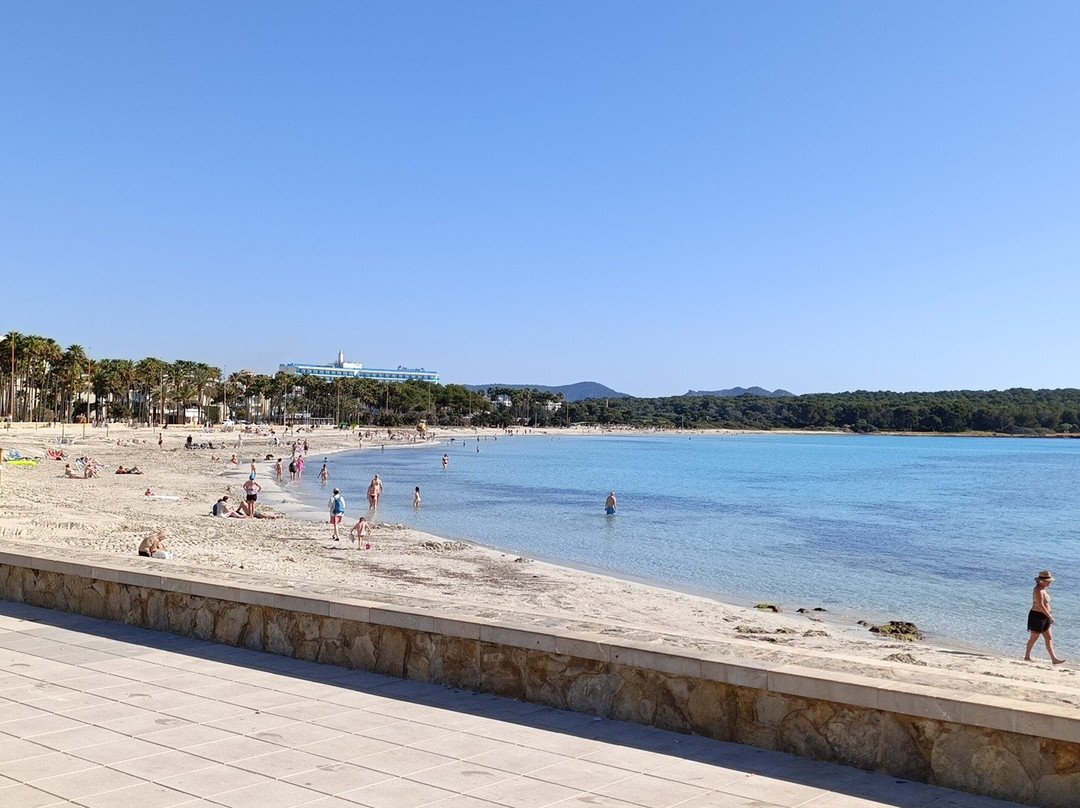 Hotel MIM Mallorca主图